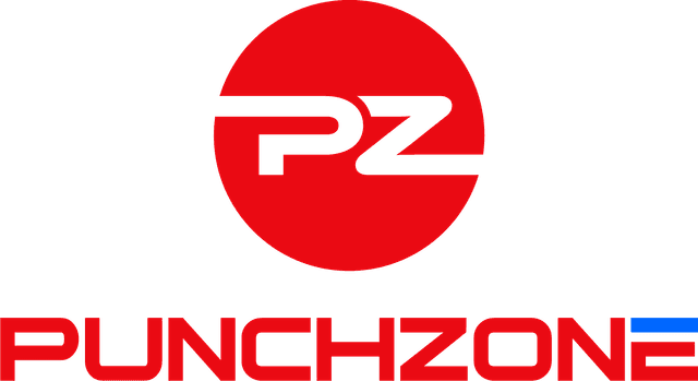 PunchZone
